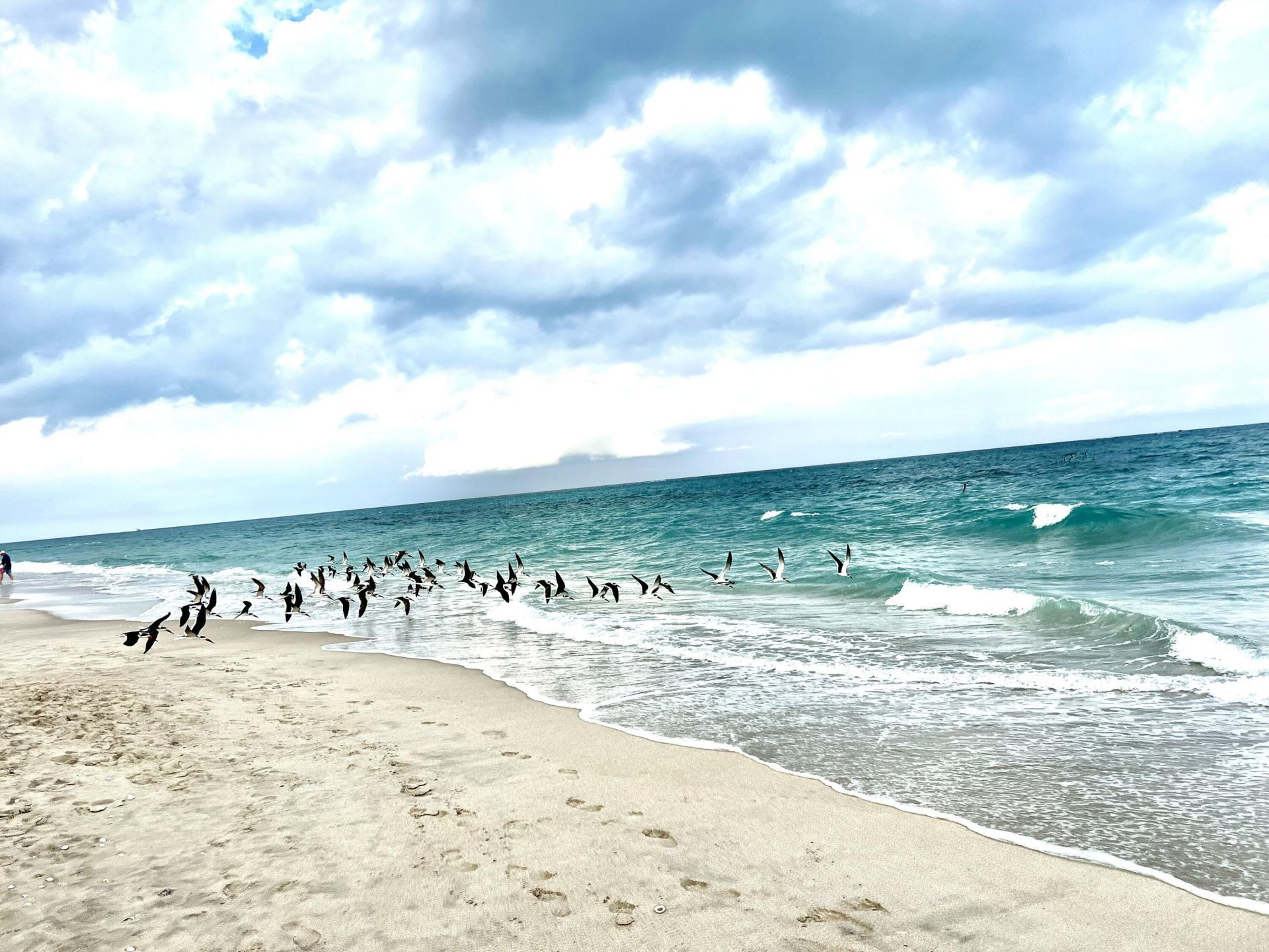 3400 N Ocean Drive, Unit 1806, Singer Island, FL 33404 Photo