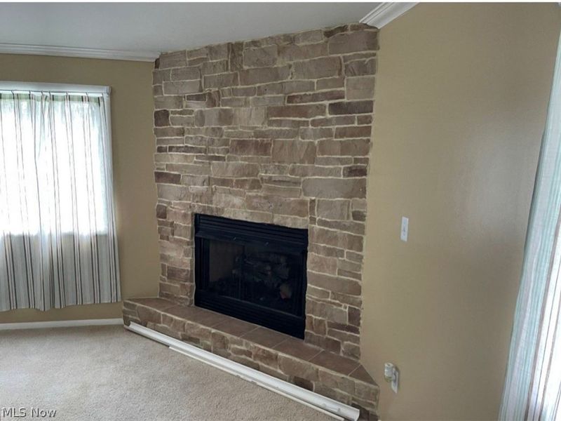 425 Laurel Street, Liberty, OH 44505 Photo 17