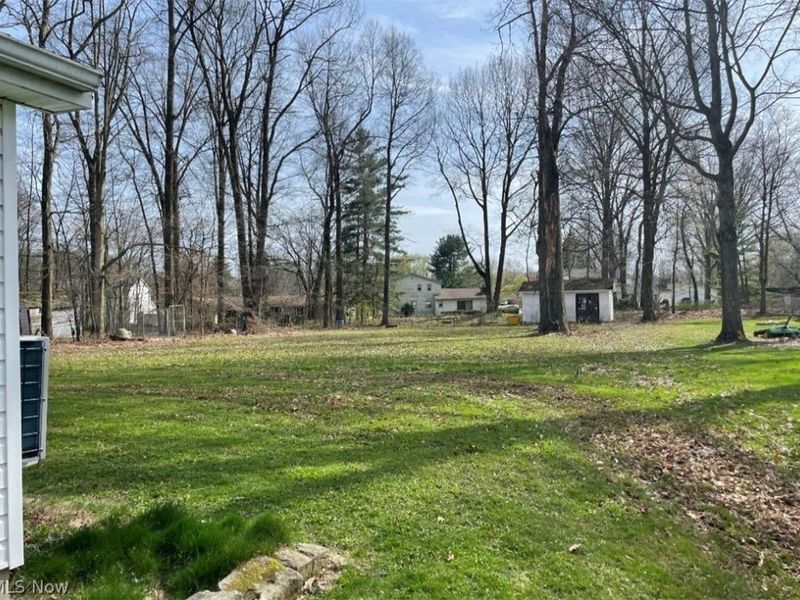 425 Laurel Street, Liberty, OH 44505 Photo 4