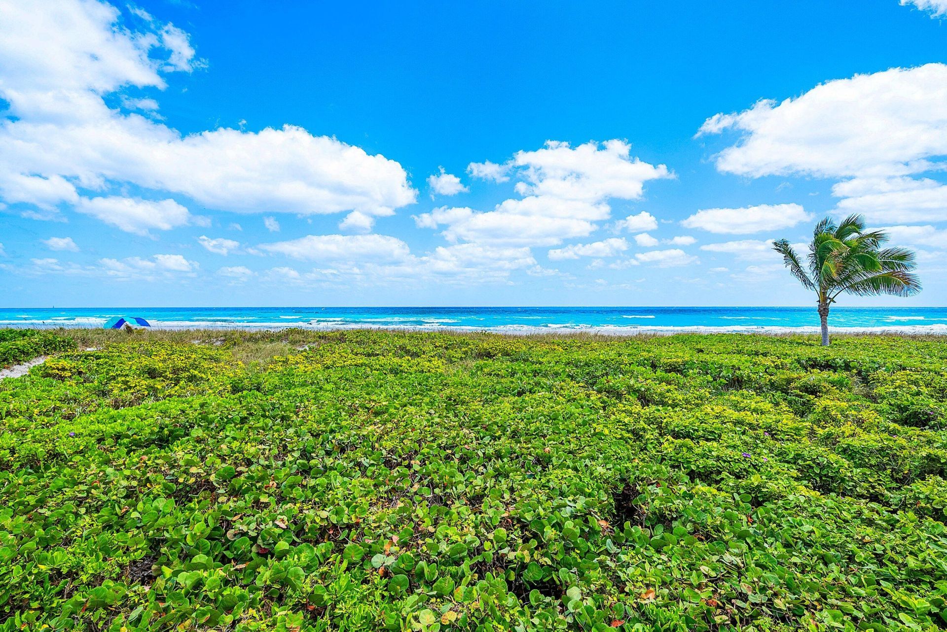 2155 S Ocean Boulevard, Unit 7, Delray Beach, FL 33483 Photo