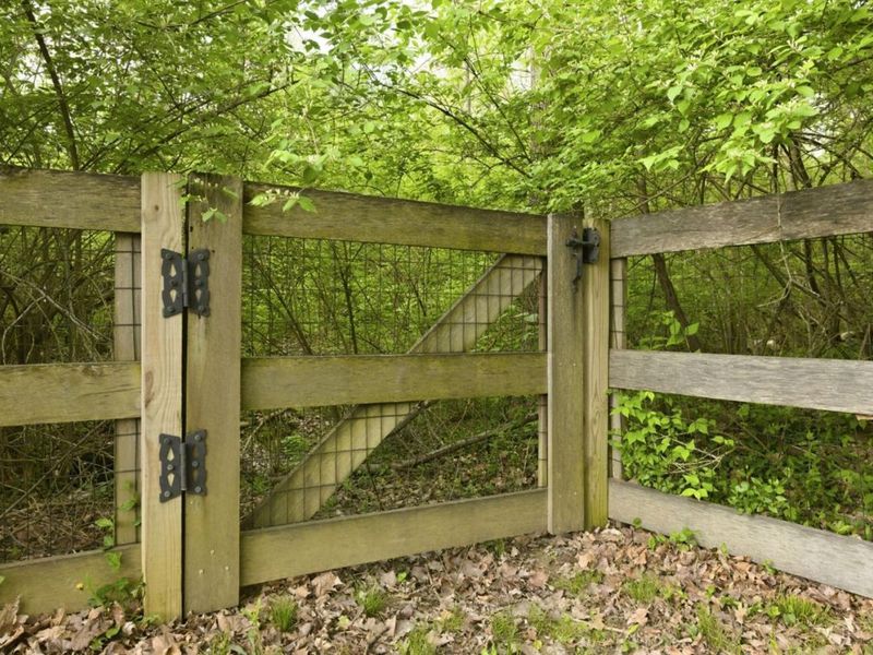 2073 Miles Woods Drive, Springfield Twp., OH 45231 Photo 58