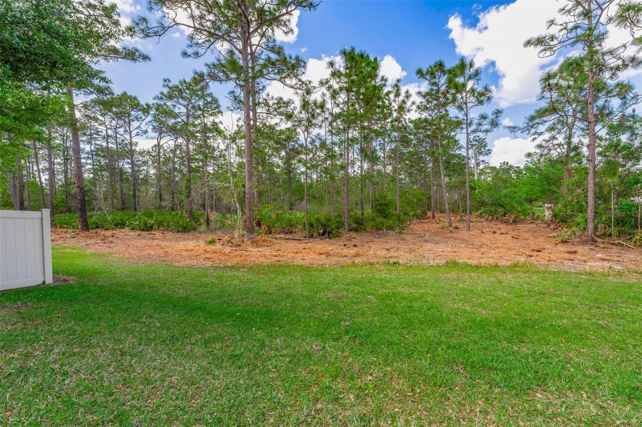 14594 Caplock Drive, Orlando, FL 32837 Photo