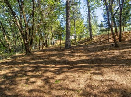 3830 Dogwood Pass Rd, Mokelumne Hill, CA 95245 Photo