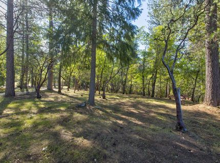3830 Dogwood Pass Rd, Mokelumne Hill, CA 95245 Photo