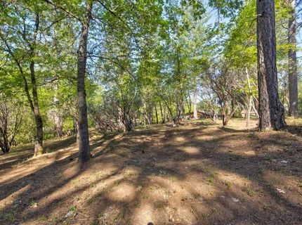 3830 Dogwood Pass Rd, Mokelumne Hill, CA 95245 Photo