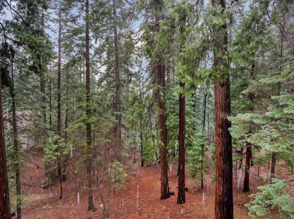 1996 Seminole Way, Arnold, CA 95223 Photo