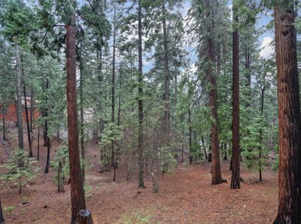 1996 Seminole Way, Arnold, CA 95223 Photo