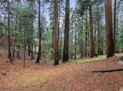 1996 Seminole Way, Arnold, CA 95223 Photo