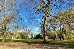 00 Brodie Street photo 4