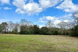 00 Brodie Street photo 4