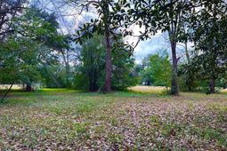 00 Brodie Street photo 4