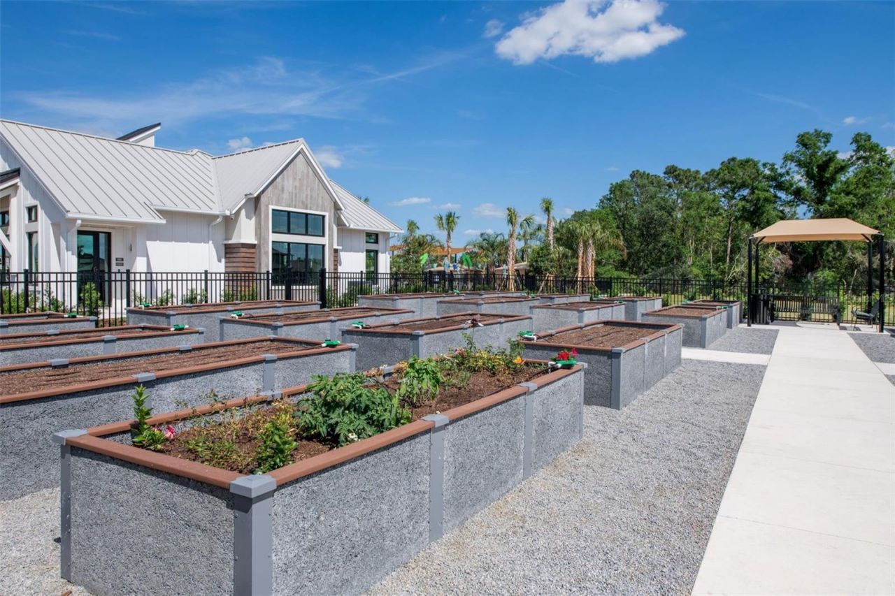 6585 Asbury Barnes Lane , Wesley Chapel, FL 33545 Photo