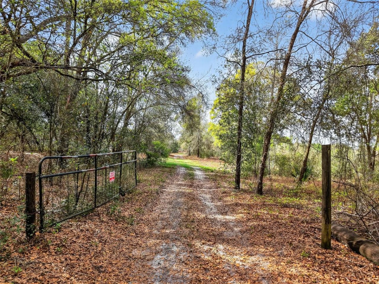 Island Pond Lane , Eustis, FL 32736 Photo