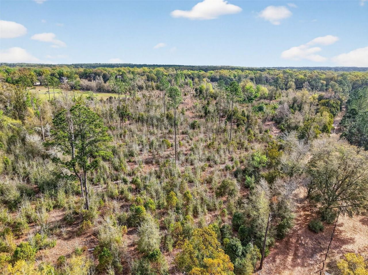 Island Pond Lane , Eustis, FL 32736 Photo