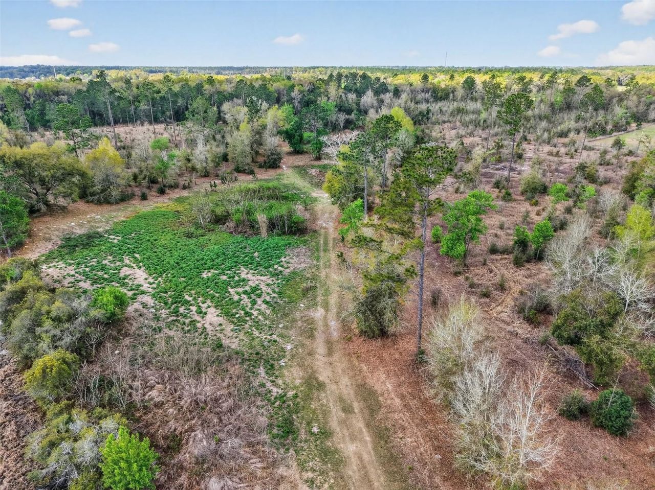 Island Pond Lane , Eustis, FL 32736 Photo