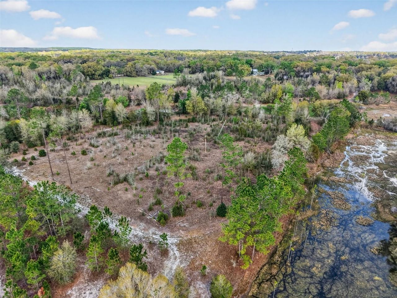 Island Pond Lane , Eustis, FL 32736 Photo