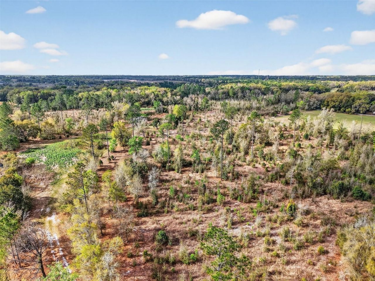 Island Pond Lane , Eustis, FL 32736 Photo