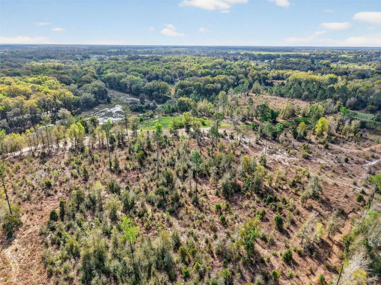 Island Pond Lane , Eustis, FL 32736 Photo