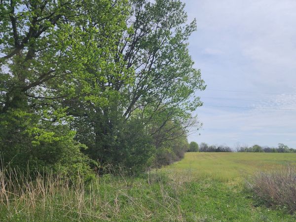 10992 N Barbersville Road, Canaan, IN 47224