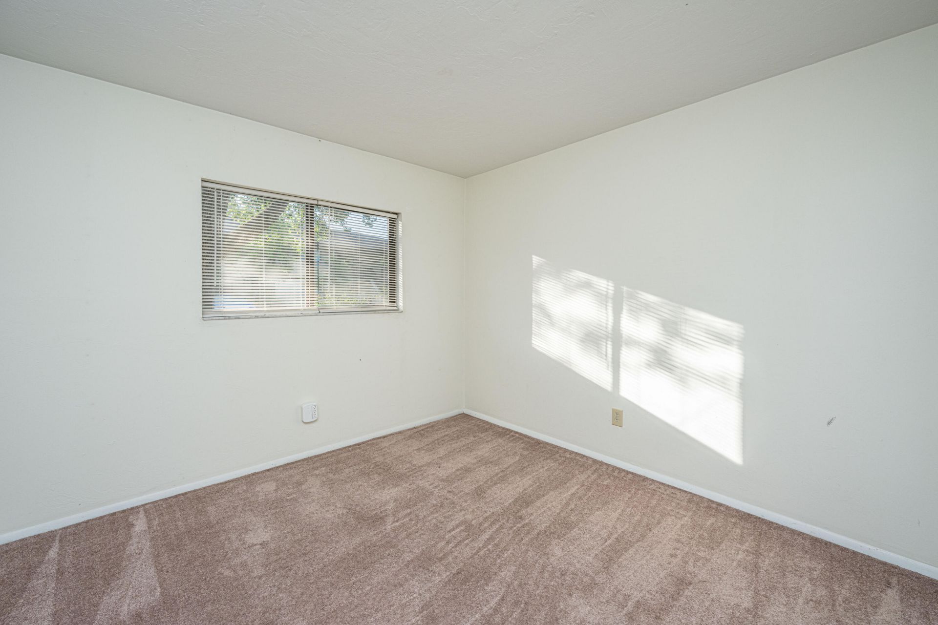 2935 Dove Haven Court Photo 19