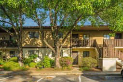 29356 Dove Haven Court photo 4