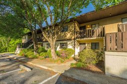 29356 Dove Haven Court photo 4