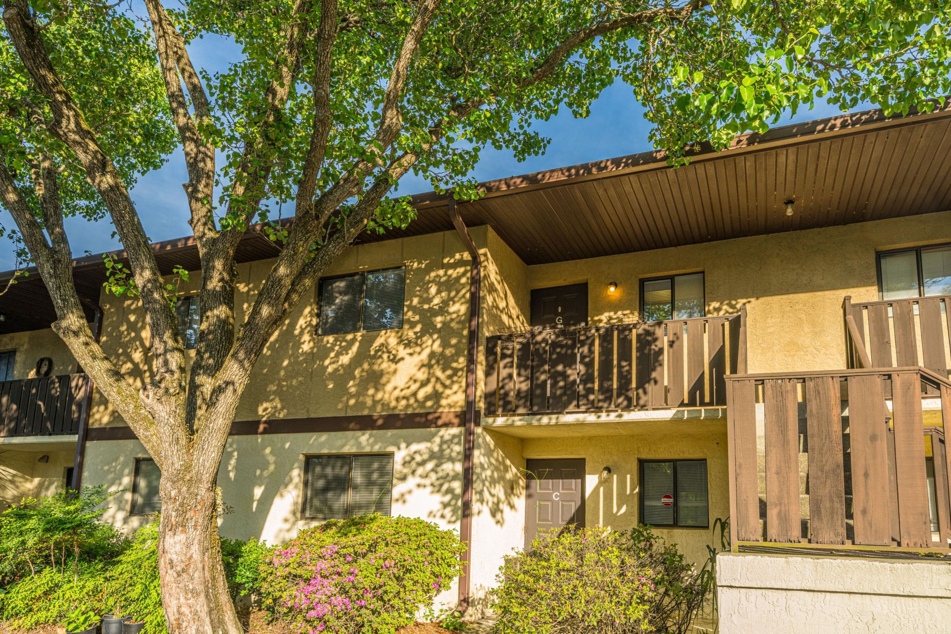 29356 Dove Haven Court Photo 4