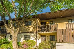 29356 Dove Haven Court photo 4