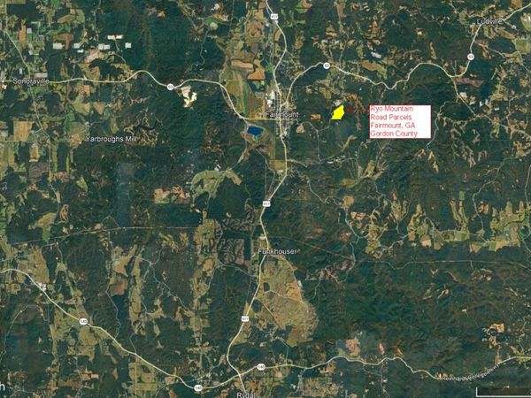 LOT E Ryo Mountain Road, Unit 9609-E, Fairmount, GA 30139
