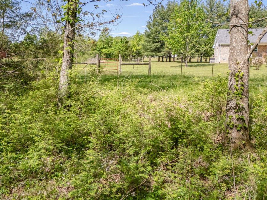Property Image 37