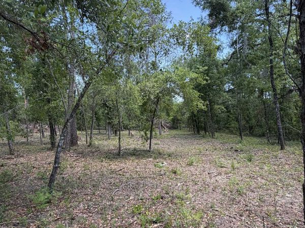 NE Ivy Drive, Lee, FL 32059