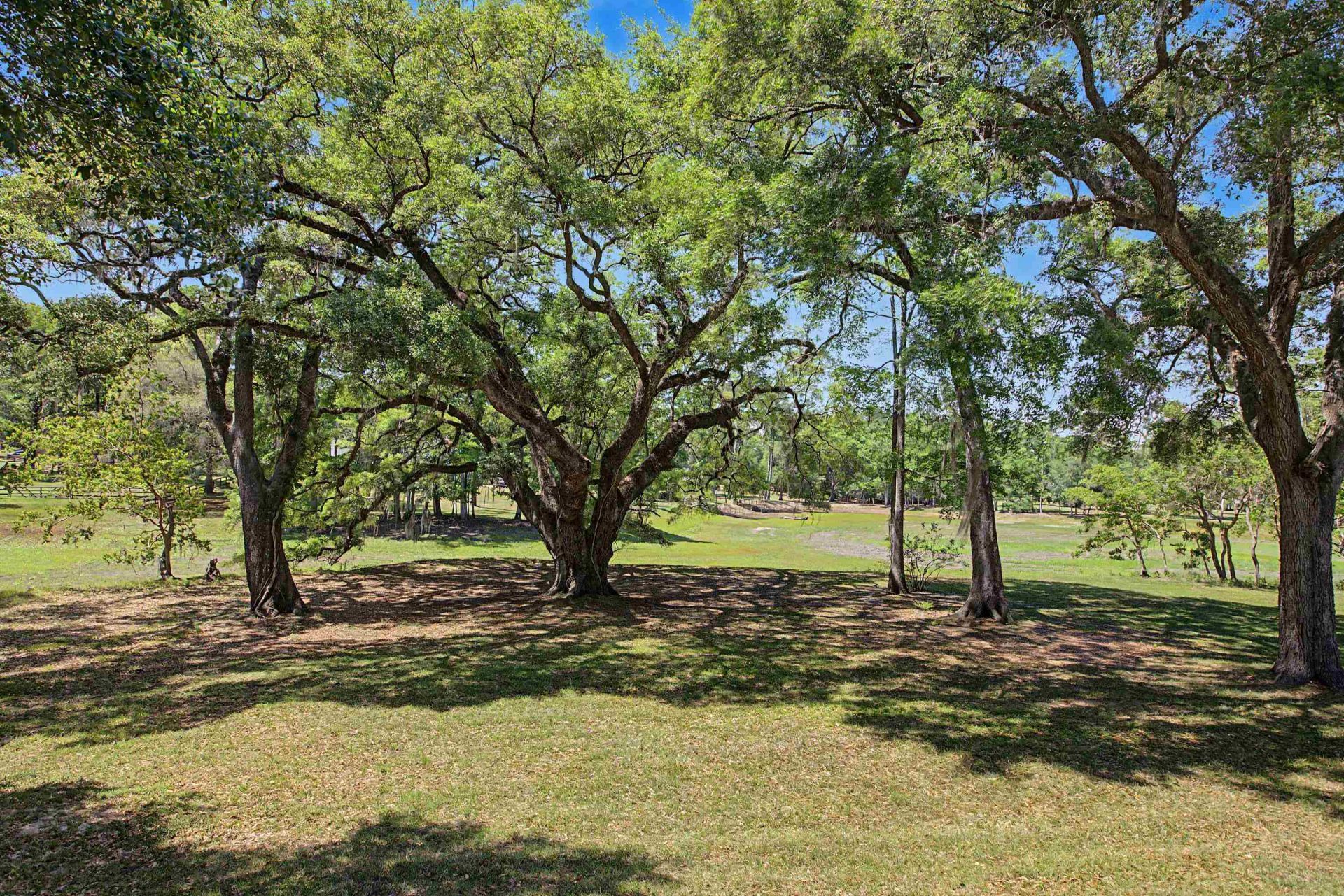 2990 Elwood Trail, Tallahassee, FL 32309 Photo