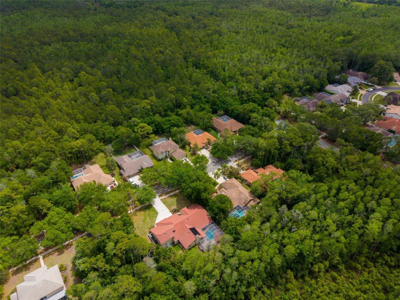 1404 East Lake Woodlands Parkway, Oldsmar, FL 34677 Photo