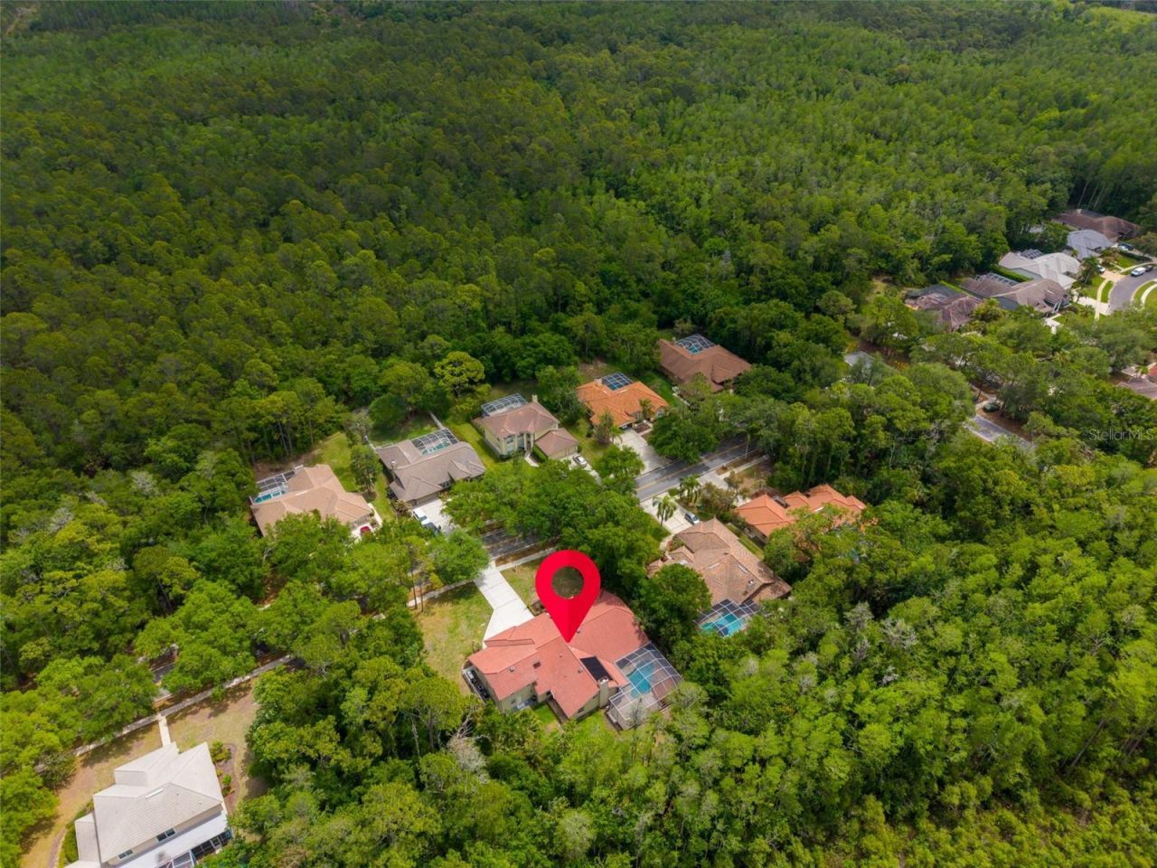 1404 East Lake Woodlands Parkway, Oldsmar, FL 34677 Photo