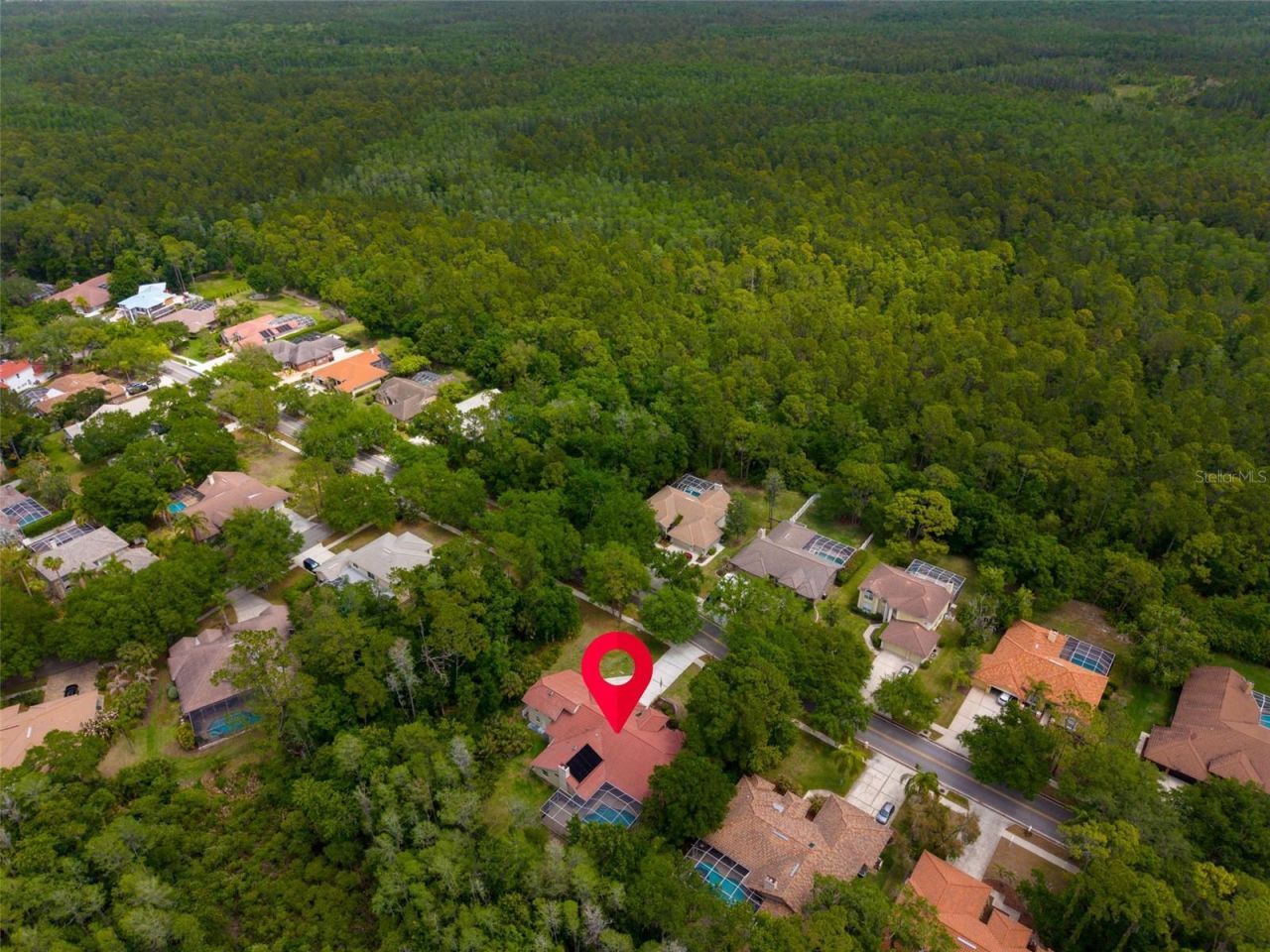 1404 East Lake Woodlands Parkway, Oldsmar, FL 34677 Photo