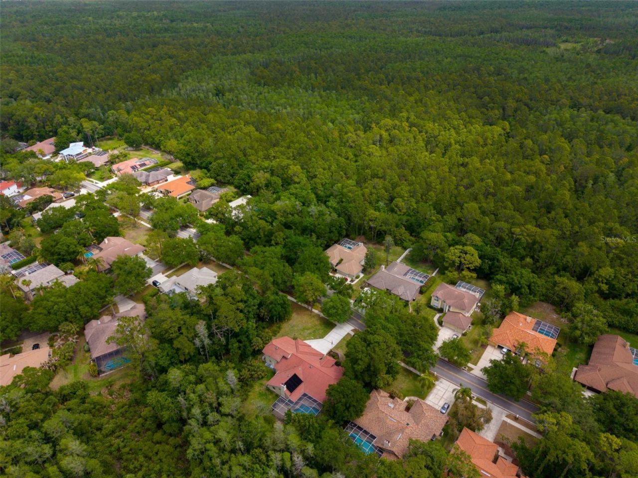 1404 East Lake Woodlands Parkway, Oldsmar, FL 34677 Photo