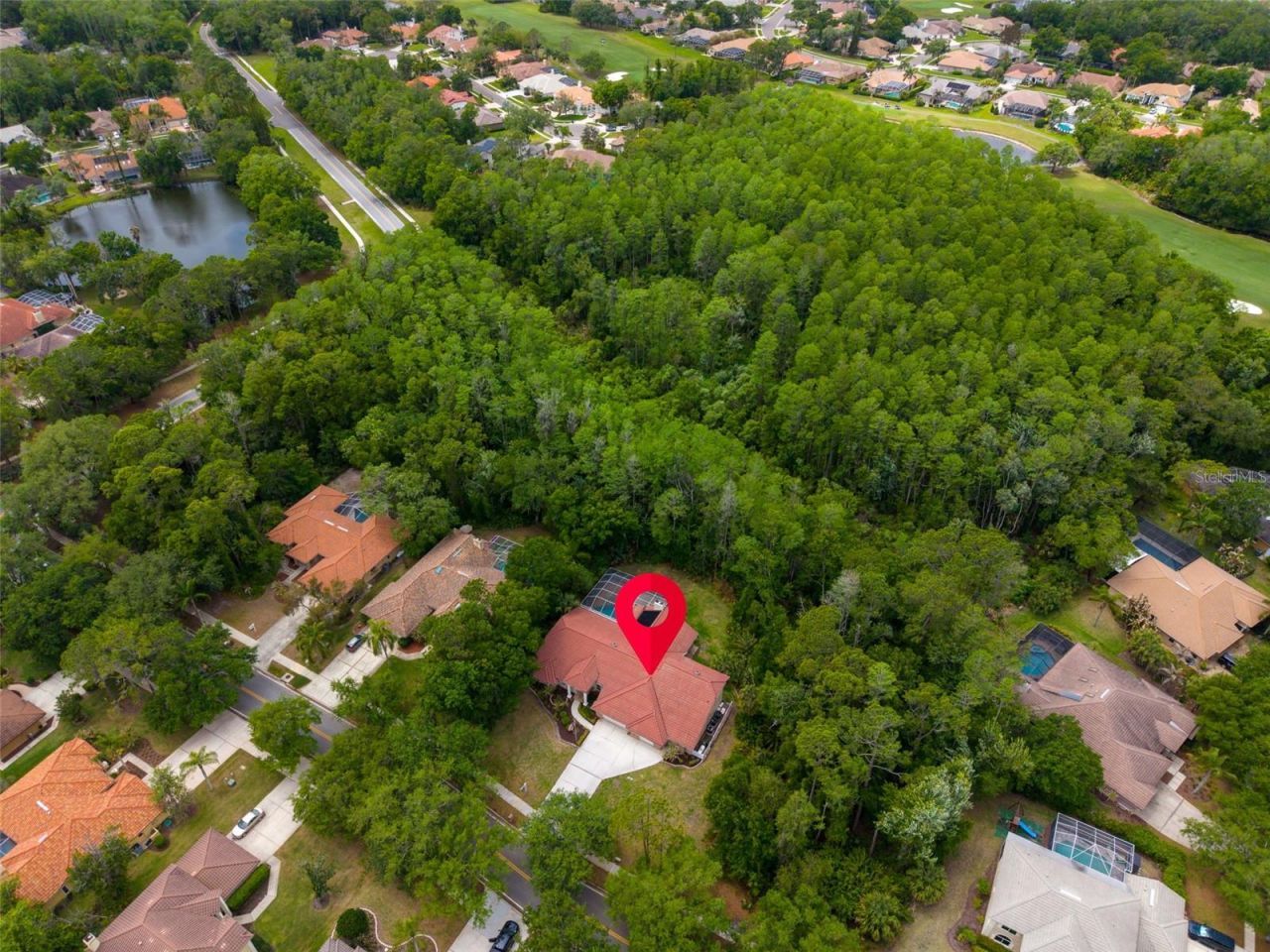 1404 East Lake Woodlands Parkway, Oldsmar, FL 34677 Photo