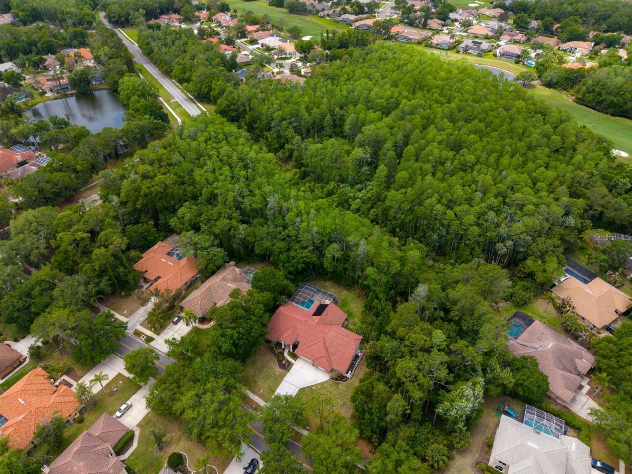1404 East Lake Woodlands Parkway, Oldsmar, FL 34677 Photo