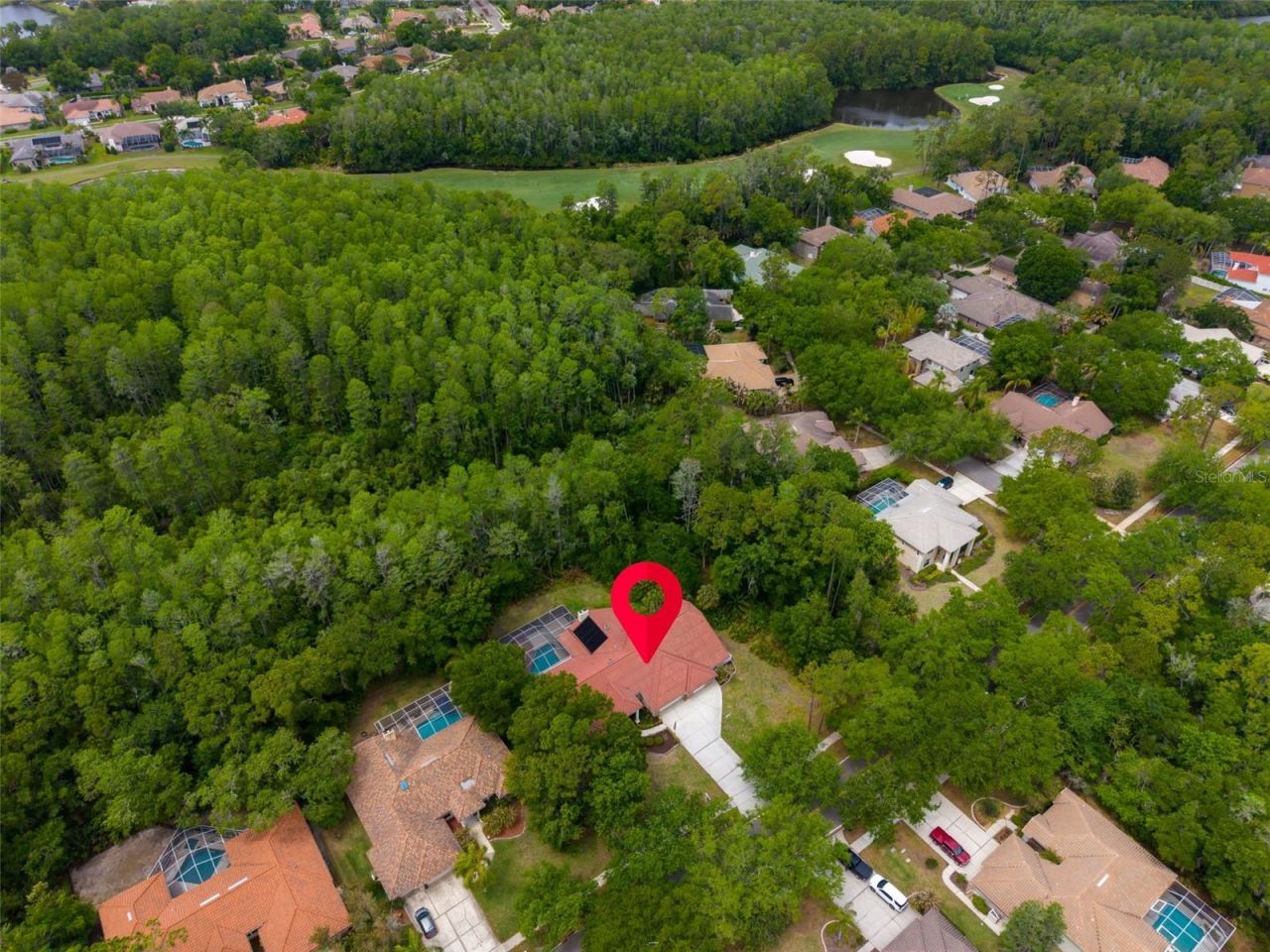 1404 East Lake Woodlands Parkway, Oldsmar, FL 34677 Photo