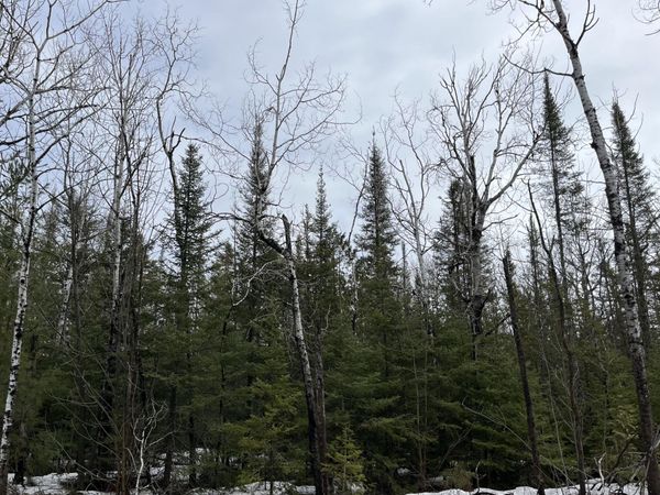 L 251-252 Pineview Drive, Presque Isle, MI 49777