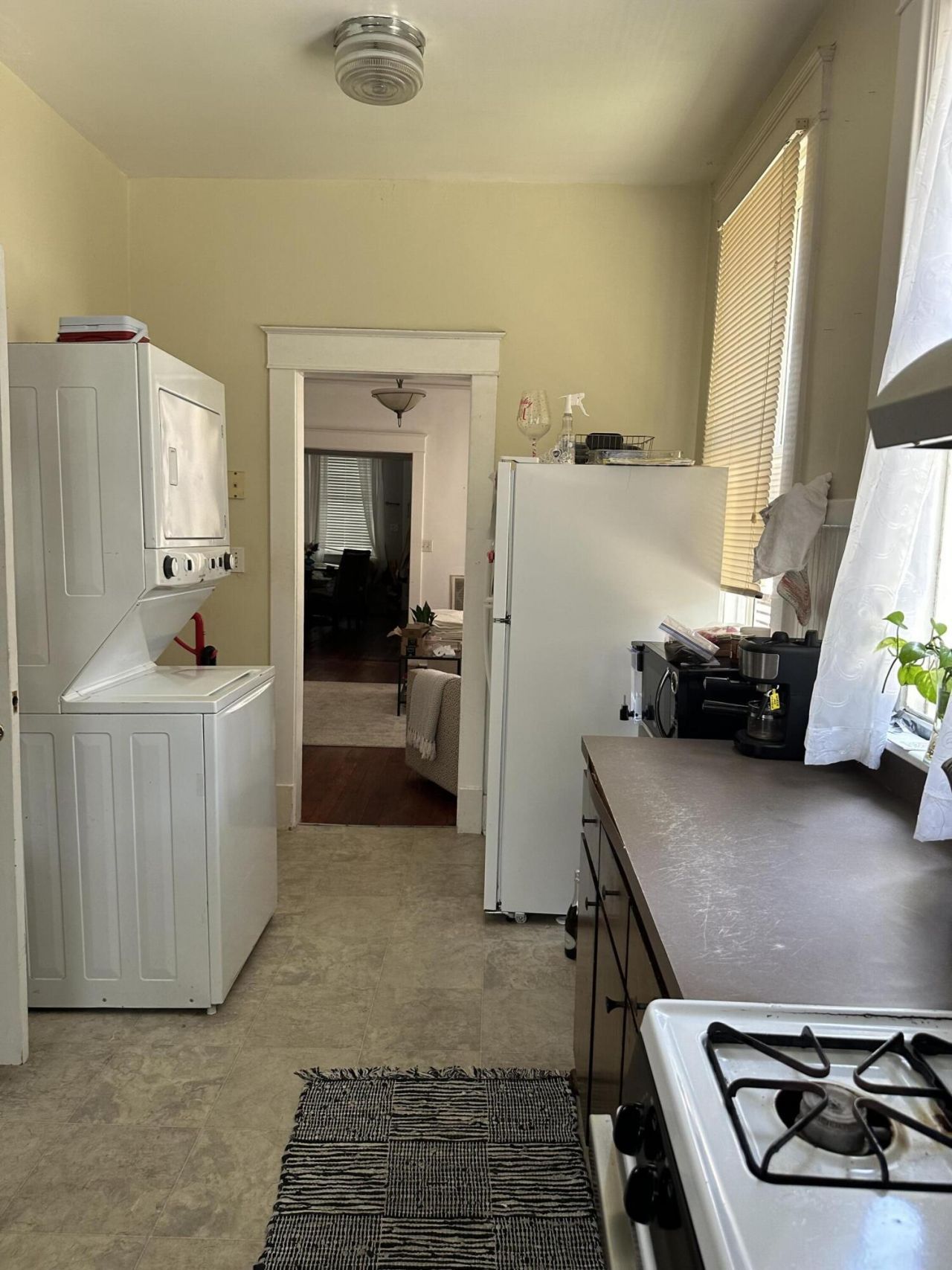 16 Elizabeth Street Photo 12