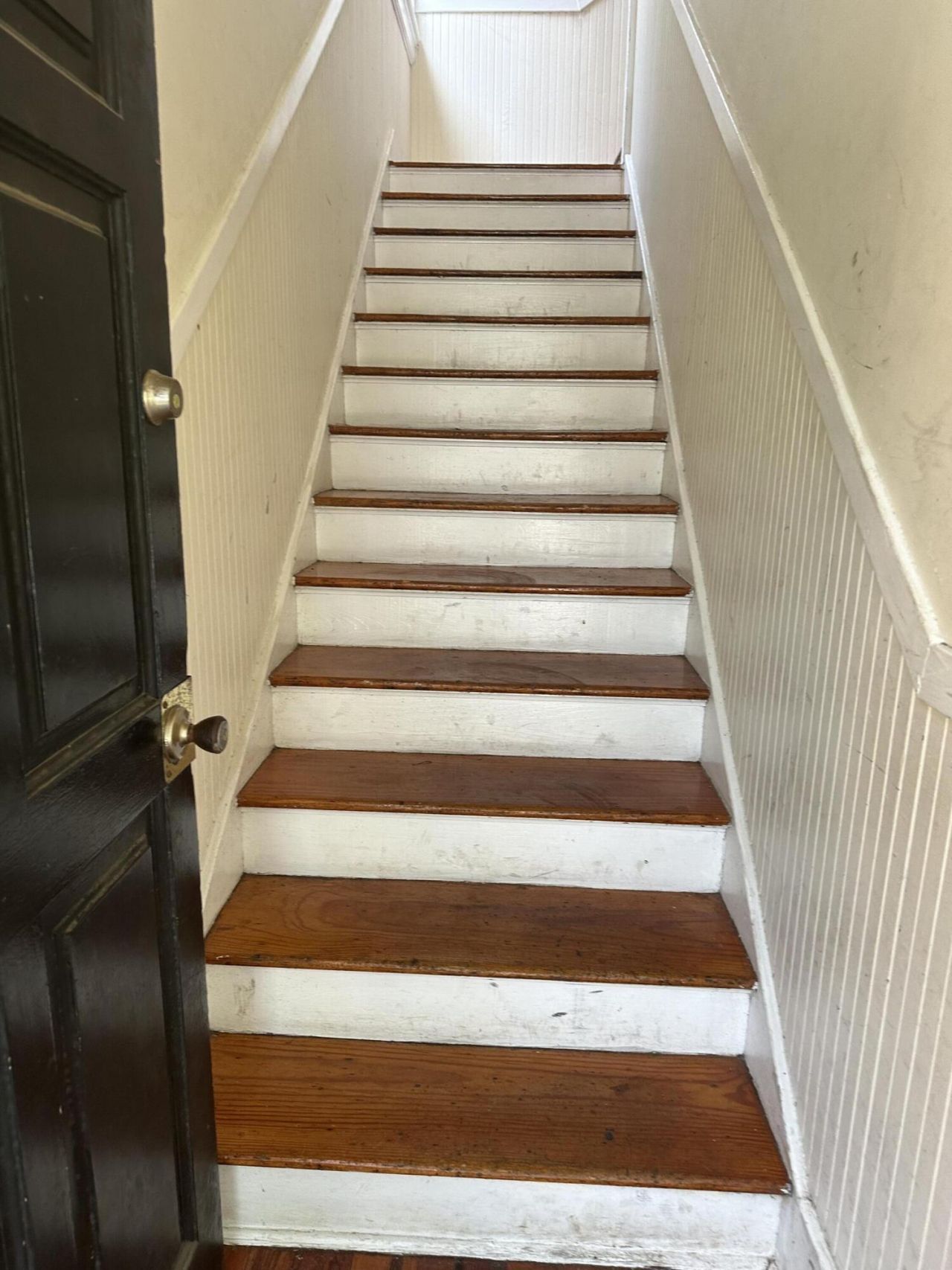 16 Elizabeth Street Photo 18