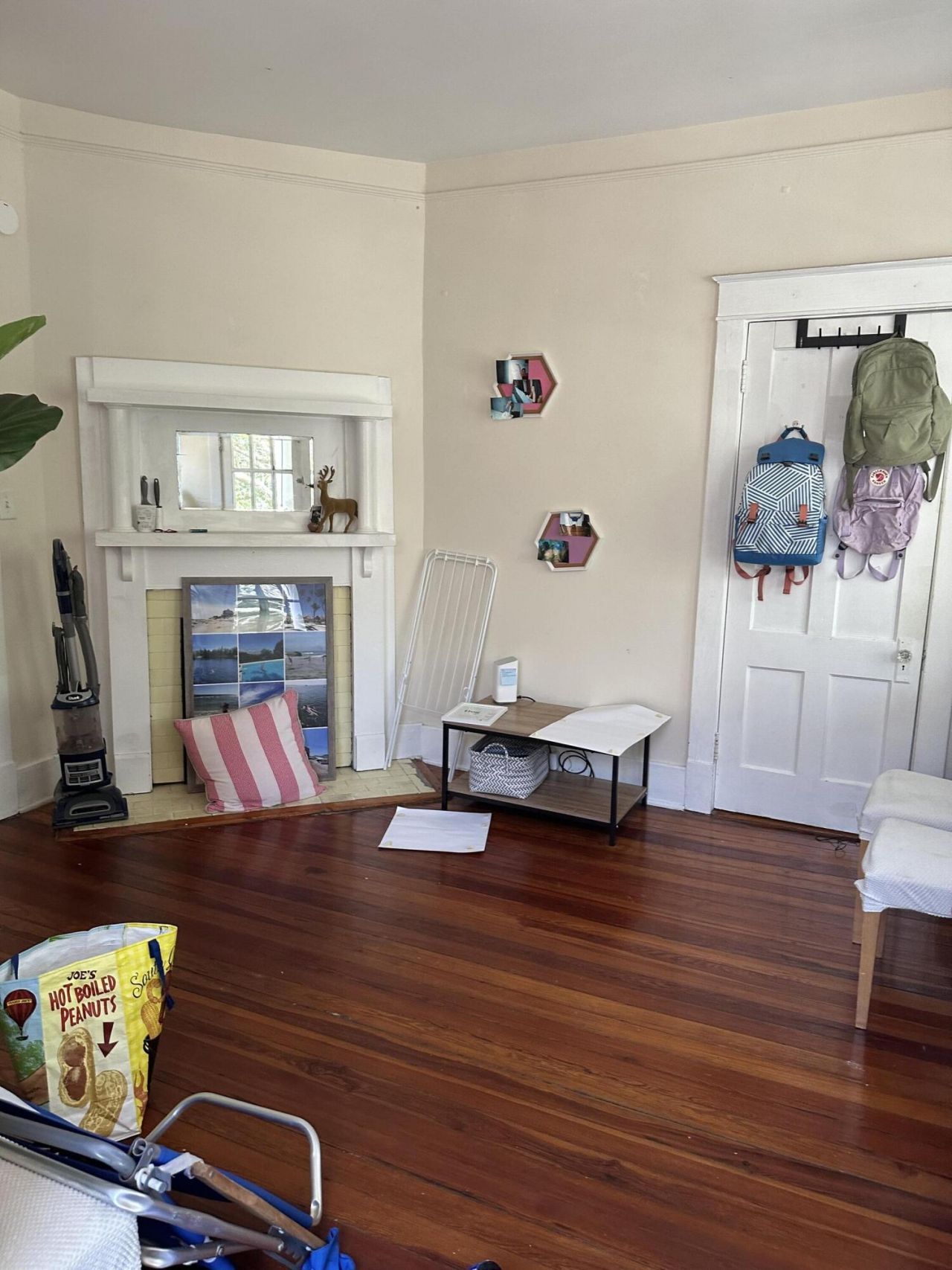 16 Elizabeth Street Photo 22