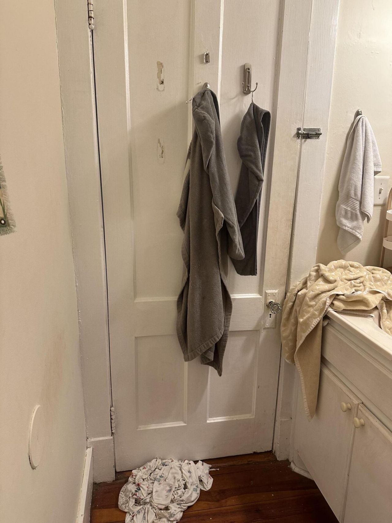 16 Elizabeth Street Photo 25