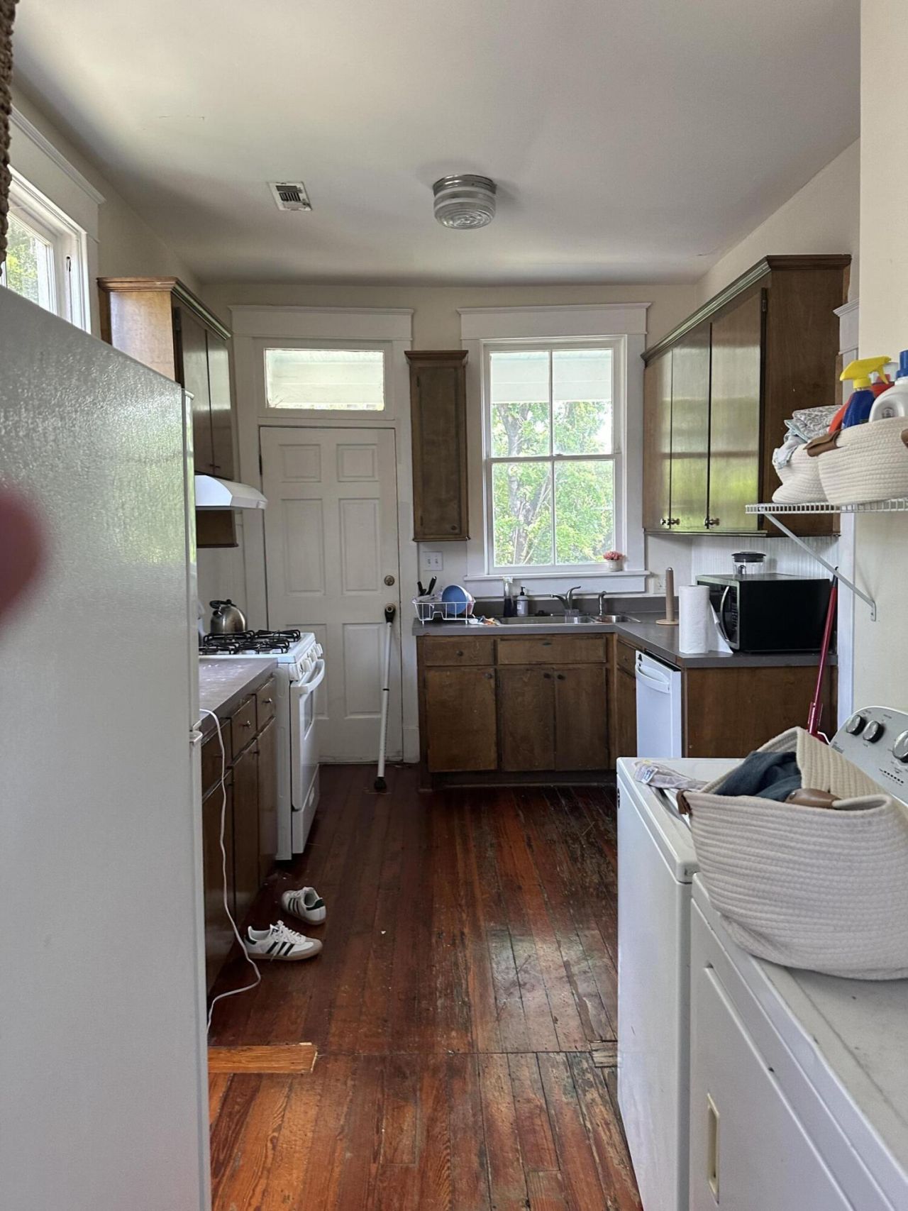 16 Elizabeth Street Photo 28