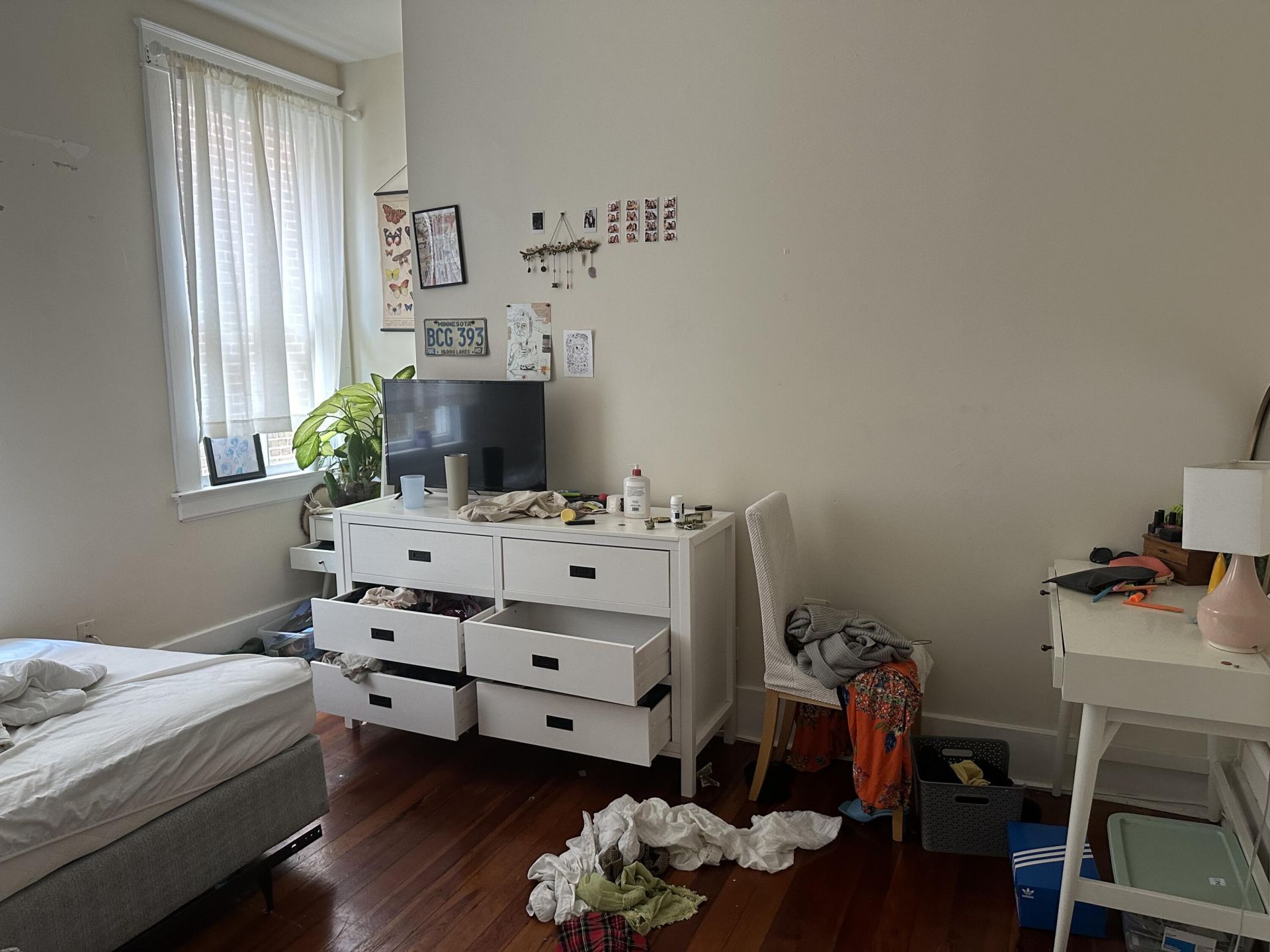 16 Elizabeth Street Photo 31