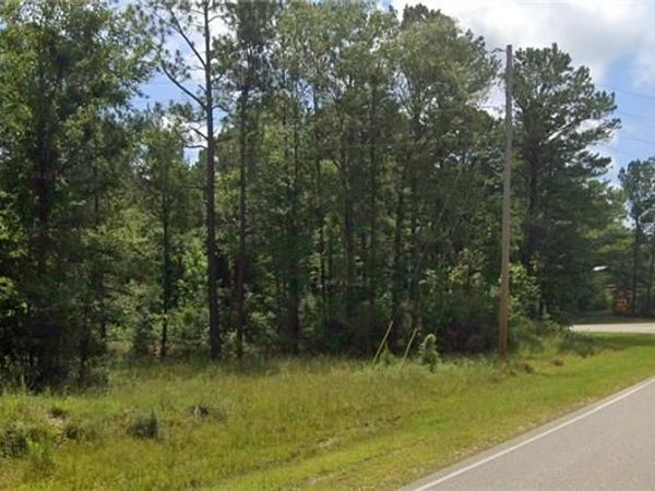 0 John Johnston Road, McIntosh, AL 36553