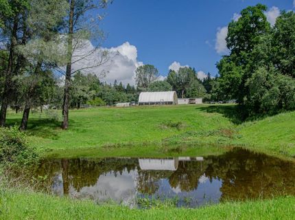 2640 Hoboken Creek Rd, Greenwood, CA 95635 Photo