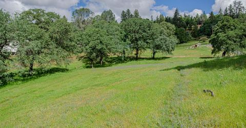 2640 Hoboken Creek Rd, Greenwood, CA 95635 Photo