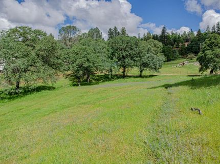 2640 Hoboken Creek Rd, Greenwood, CA 95635 Photo